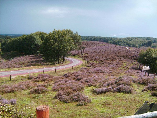 Posbank en Veluwezoom